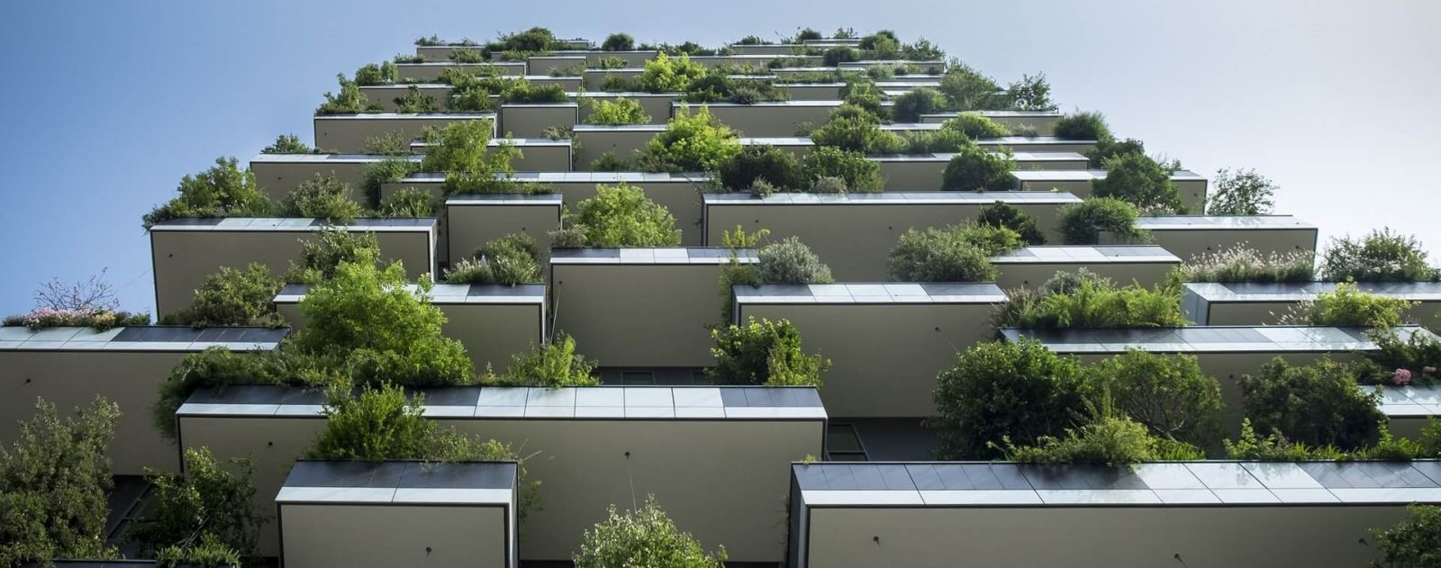 Christian：城市居住區景觀設計的重要性