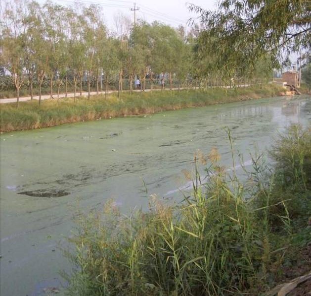 Christian：城市居住區景觀設計的重要性