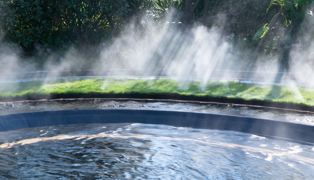 2019園冶杯專業(yè)獎丨世茂青島?璀璨天樾