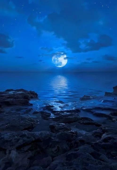 2019園冶杯專業(yè)獎丨世茂青島?璀璨天樾