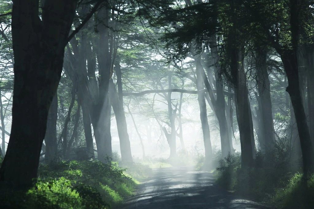 2019園冶杯專業(yè)獎丨世茂青島?璀璨天樾