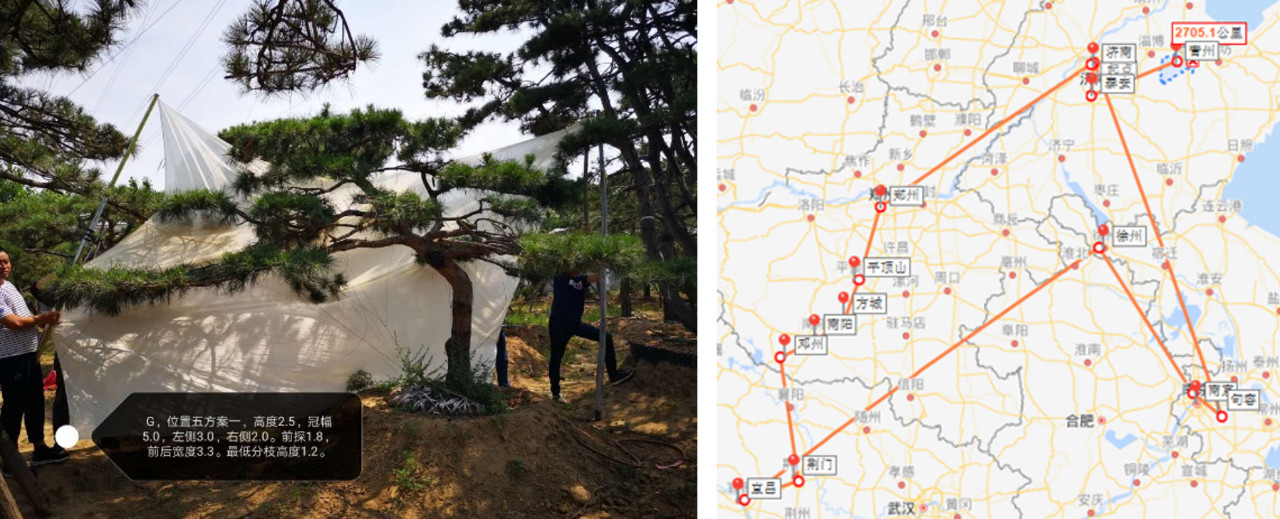 2019園冶杯專業(yè)獎丨世茂青島?璀璨天樾