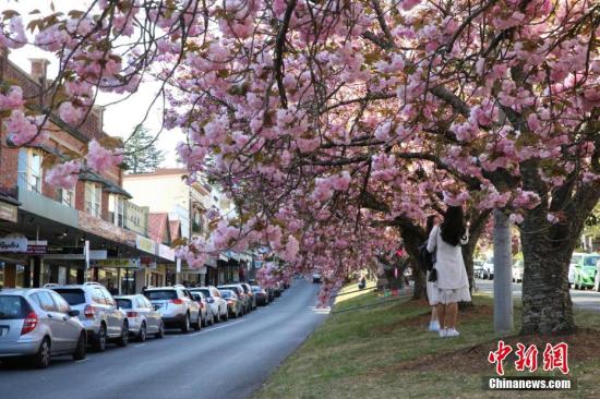 吸引亞洲買家 澳大利亞新興建筑注重風(fēng)水