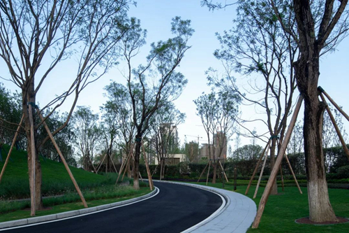 2019園冶杯專業獎丨成都保利和光嶼湖