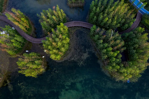 2019園冶杯專業獎丨成都保利和光嶼湖