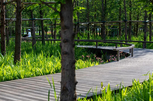 2019園冶杯專業獎丨成都保利和光嶼湖