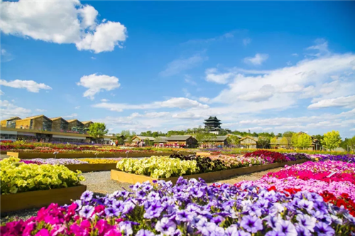 重新開放的世園會這么玩