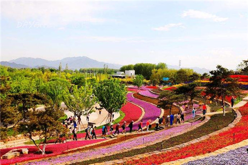 重新開放的世園會這么玩