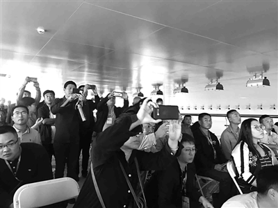 雄安新區所需苗木能在你的苗圃找到嗎？