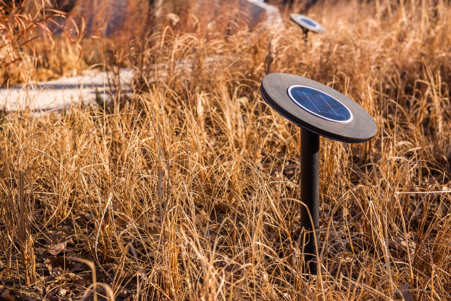 2019園冶杯專(zhuān)業(yè)獎(jiǎng)丨北京龍湖G-PARK科技公園