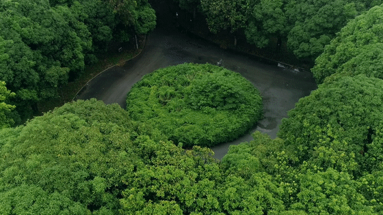 我把名字寫在了時間里丨華潤置地 西園悅府