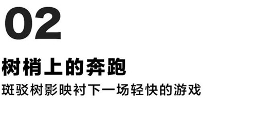 貴陽中南·春風南岸 社區花園實踐