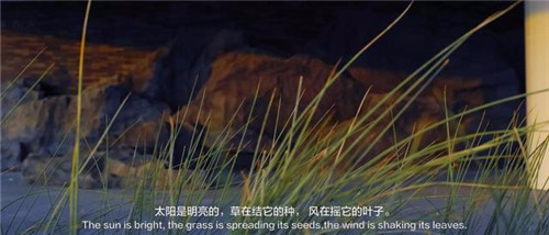 貴陽中南·春風南岸 社區花園實踐