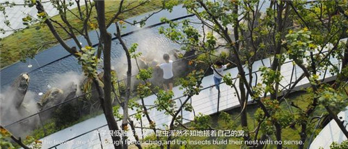 貴陽中南·春風南岸 社區花園實踐