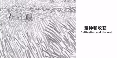 貴陽中南·春風南岸 社區花園實踐