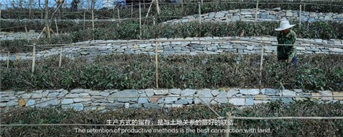 貴陽中南·春風南岸 社區花園實踐