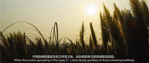 貴陽中南·春風南岸 社區花園實踐