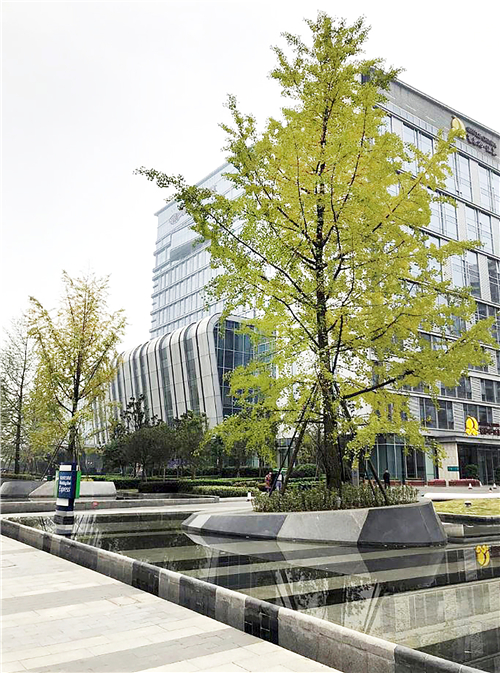 2019園冶杯專業(yè)獎丨成都皇冠假日酒店