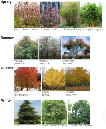 2019園冶杯專業(yè)獎丨成都皇冠假日酒店