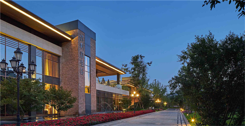 2019園冶杯專業(yè)獎丨保利養(yǎng)生谷