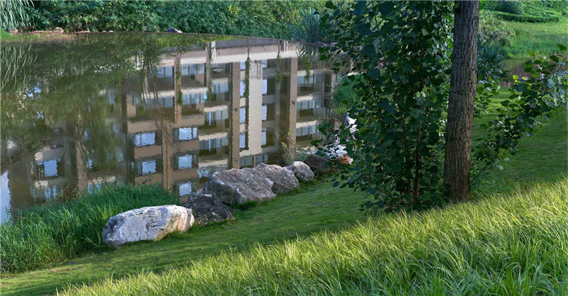 2019園冶杯專業(yè)獎丨保利養(yǎng)生谷