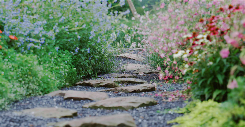 2019園冶杯專業(yè)獎丨保利養(yǎng)生谷