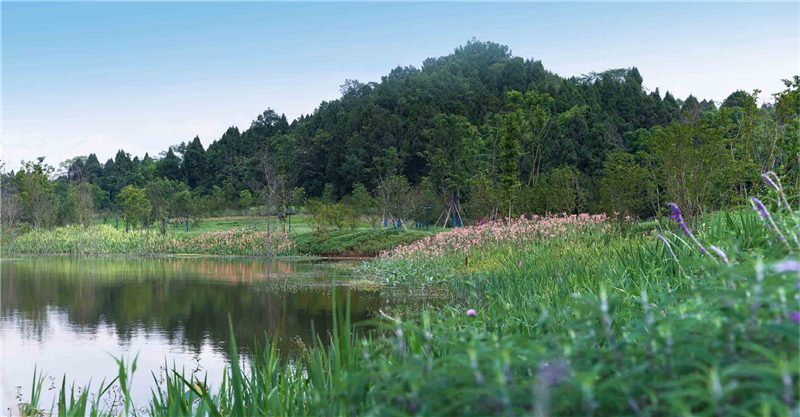 2019園冶杯專業(yè)獎丨保利養(yǎng)生谷