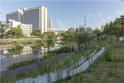 園冶杯專業(yè)獎(jiǎng)|池州護(hù)城河遺址公園景觀與海綿設(shè)計(jì)