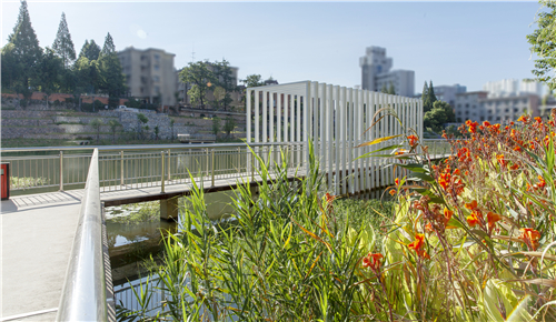 園冶杯專業(yè)獎(jiǎng)|池州護(hù)城河遺址公園景觀與海綿設(shè)計(jì)