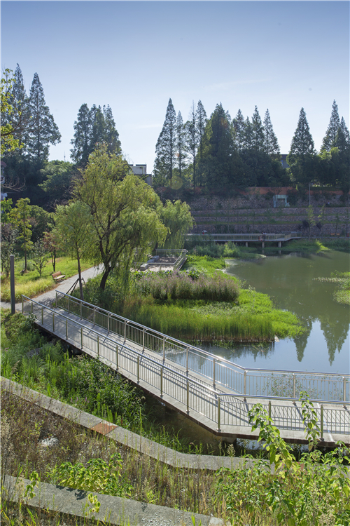 園冶杯專業(yè)獎(jiǎng)|池州護(hù)城河遺址公園景觀與海綿設(shè)計(jì)