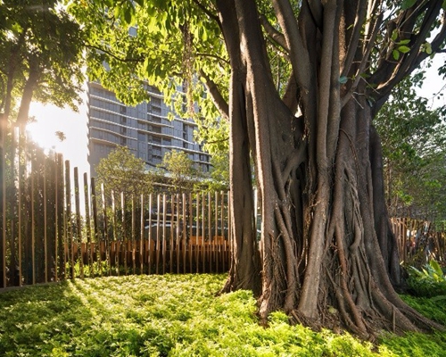 2019園冶杯專業(yè)獎丨The Line Mochit