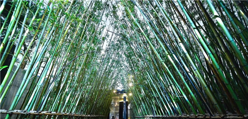 吉盛園林| 從國畫中走出來的融創(chuàng)·山曉