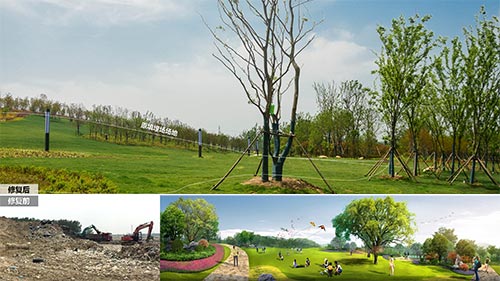 2019年園冶杯|靈璧縣閔莊垃圾站生態治理工程