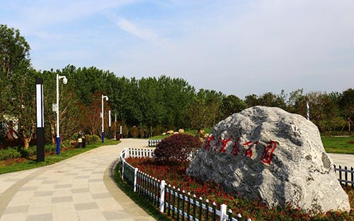 2019年園冶杯|靈璧縣閔莊垃圾站生態治理工程