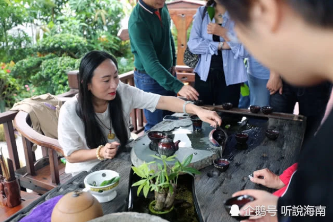 2019第七屆世界生態城市與屋頂綠化大會在海口成功召開