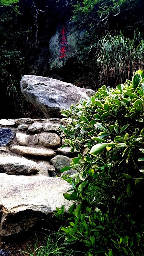 2019年園冶杯專業獎|廬山桃花源景區工程