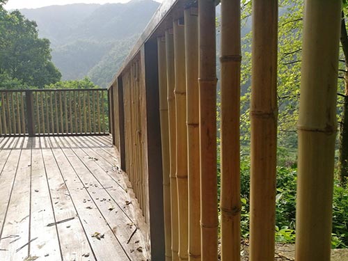 2019年園冶杯專業獎|廬山桃花源景區工程