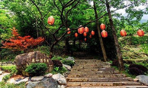 2019年園冶杯專業獎|廬山桃花源景區工程