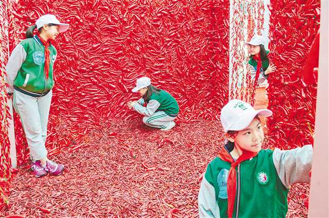 城市花博會活動多 總有一樣吸引你