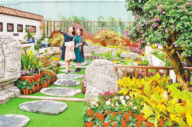 城市花博會活動多 總有一樣吸引你