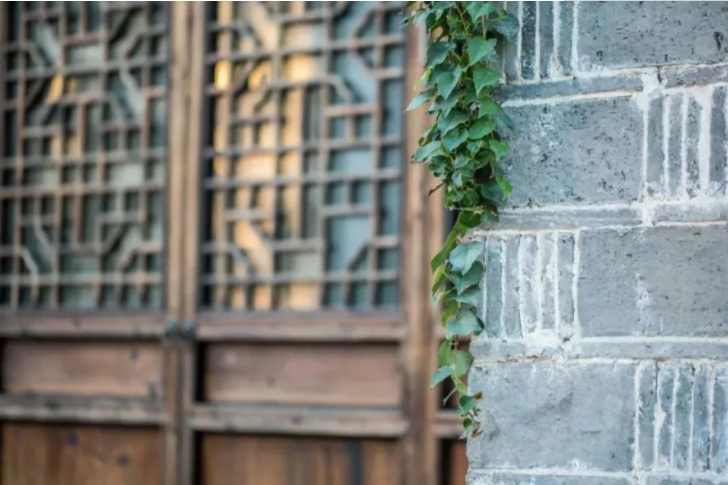 歷史街區保護遇城市更新,如何解決