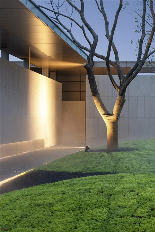 春風又綠江南岸|中南·春風南岸