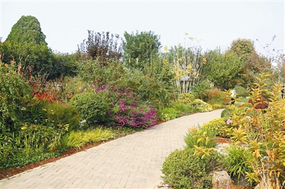 專家之聲：中國花境崛起從何入手？