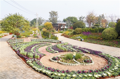 專家之聲：中國花境崛起從何入手？