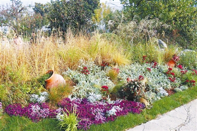 專家之聲：中國花境崛起從何入手？