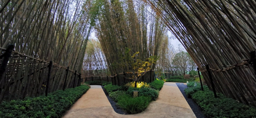 2019園冶杯專業獎丨武漢金茂悅示范區景觀工程