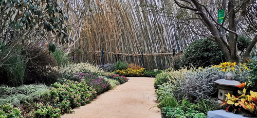 2019園冶杯專業獎丨武漢金茂悅示范區景觀工程