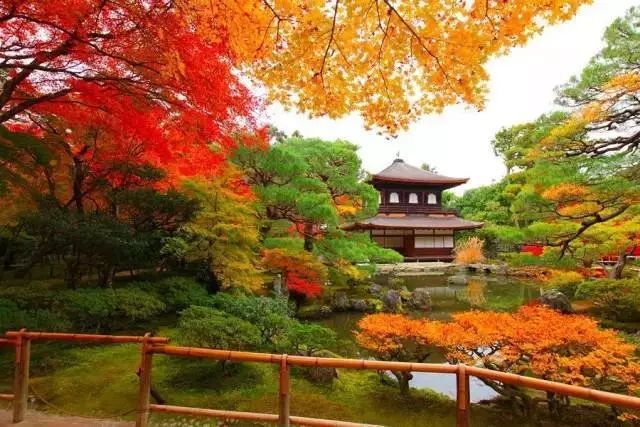 日本最美園林集合