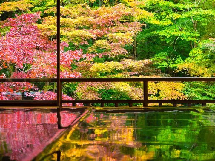 日本最美園林集合