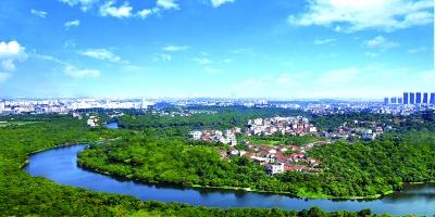 福建省創建“森林城市”結碩果